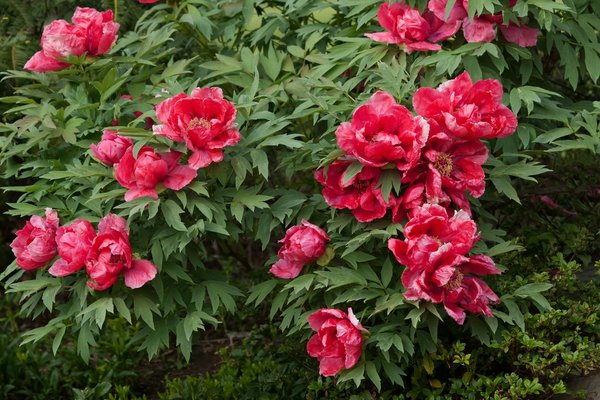 Réinventez votre salle de bains grâce à des estimations sur mesure