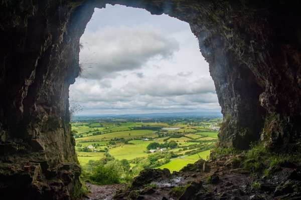 Optimisez votre espace avec une cave à vin sous escalier